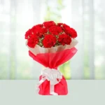 116-bouquet-8-red-carnations-flowershopindia