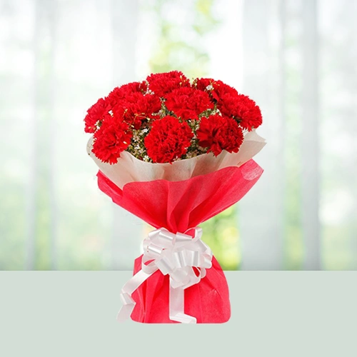 116-bouquet-8-red-carnations-flowershopindia