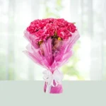 117-bouquet-8-pink-carnations-flowershopindia