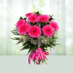 121-bouquet-8-pink-color-gerberas-flowershopindia