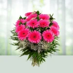 126-bouquet-12-pink-color-gerberas-flowershopindia