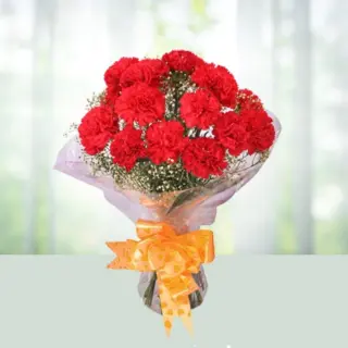 Send Flowers Bouquet 12 Red Colour Carnations Gift Online in India