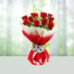 137-bouquet-10-red-roses-flowershopindia