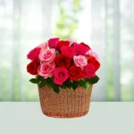14-basket-12-red-and-pink-roses-flowershopindia