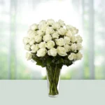 18-bouquet-30-fresh-bright-white-roses-flowershopindia