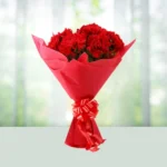 Send Flowers Bouquet 12 Red Carnations Gift Online in India
