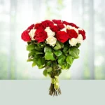 23-bouquet-12-red-and-white-roses-flowershopindia