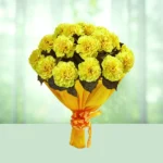 24-bouquet-12-yellow-carnations-flowershopindia