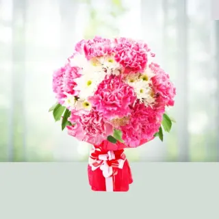 Send Flowers Bouquet 12 Pink And White Carnations Gift Online in India