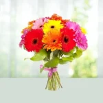 3-bouquet-12-mix-gerberas-flowershopindia