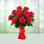 34-bouquet-12-red-carnations-flowershopindia