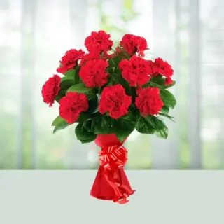 Send Flowers Bouquet 12 Red Carnations Gift Online in India
