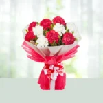 43-bouquet-15-red-and-pink-carnations-flowershopindia