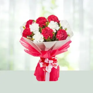 Send Flowers Bouquet 15 Red And Pink Carnations Gift Online in India