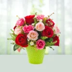 5-bouquet-12-red-pink-and-white-roses-flowershopindia