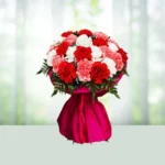 Send Flowers Bouquet 20 Colour Carnations Gift Online in India