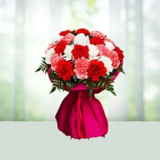 Send Flowers Bouquet 20 Colour Carnations Gift Online in India
