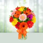 65-bouquet-20-blissful-mix-gerbera-flowershopindia