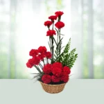 85-basket-20-red-carnations-flowershopindia
