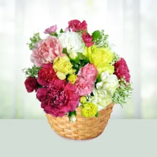 Send Flowers Basket 20 Mix Colour Carnations Gift Online in India