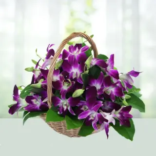Send Flowers Basket 10 Blue Or Purple Or Mix Orchids Gift Online in India